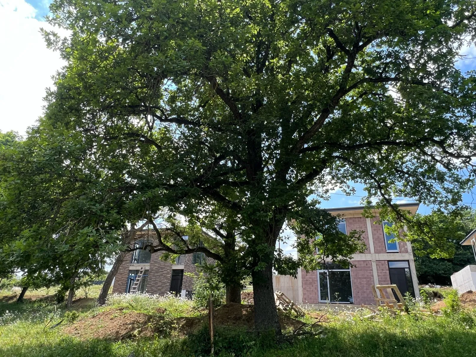 Ubani Kiketi - zaawansowany etap budowy domów ekologicznych