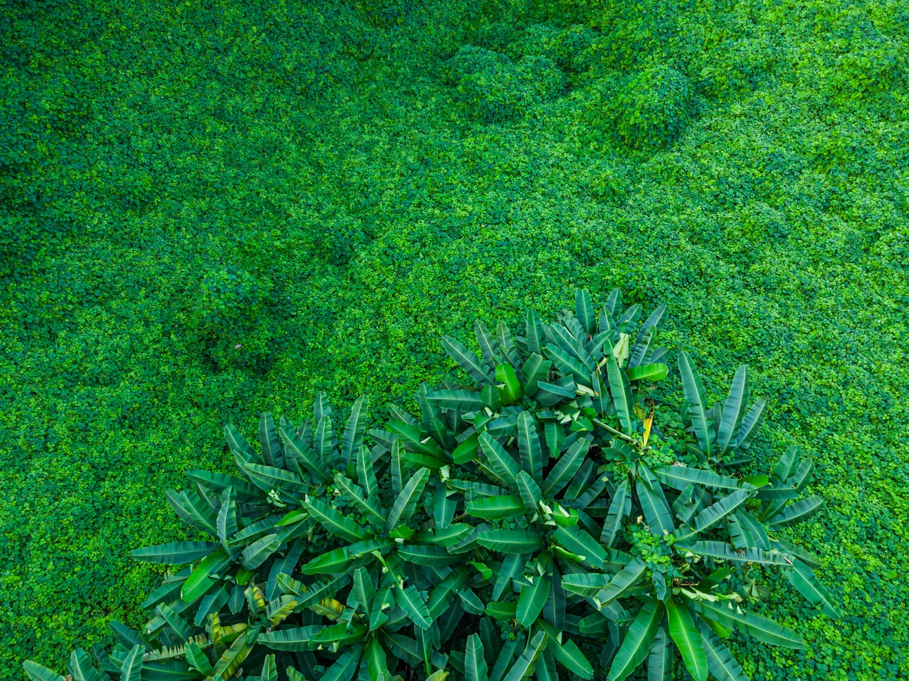 Rodziny z dziećmi w Gruzji