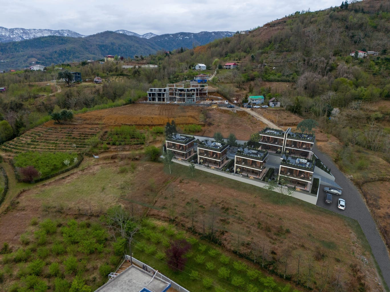 Mimosa - widok na kompleks