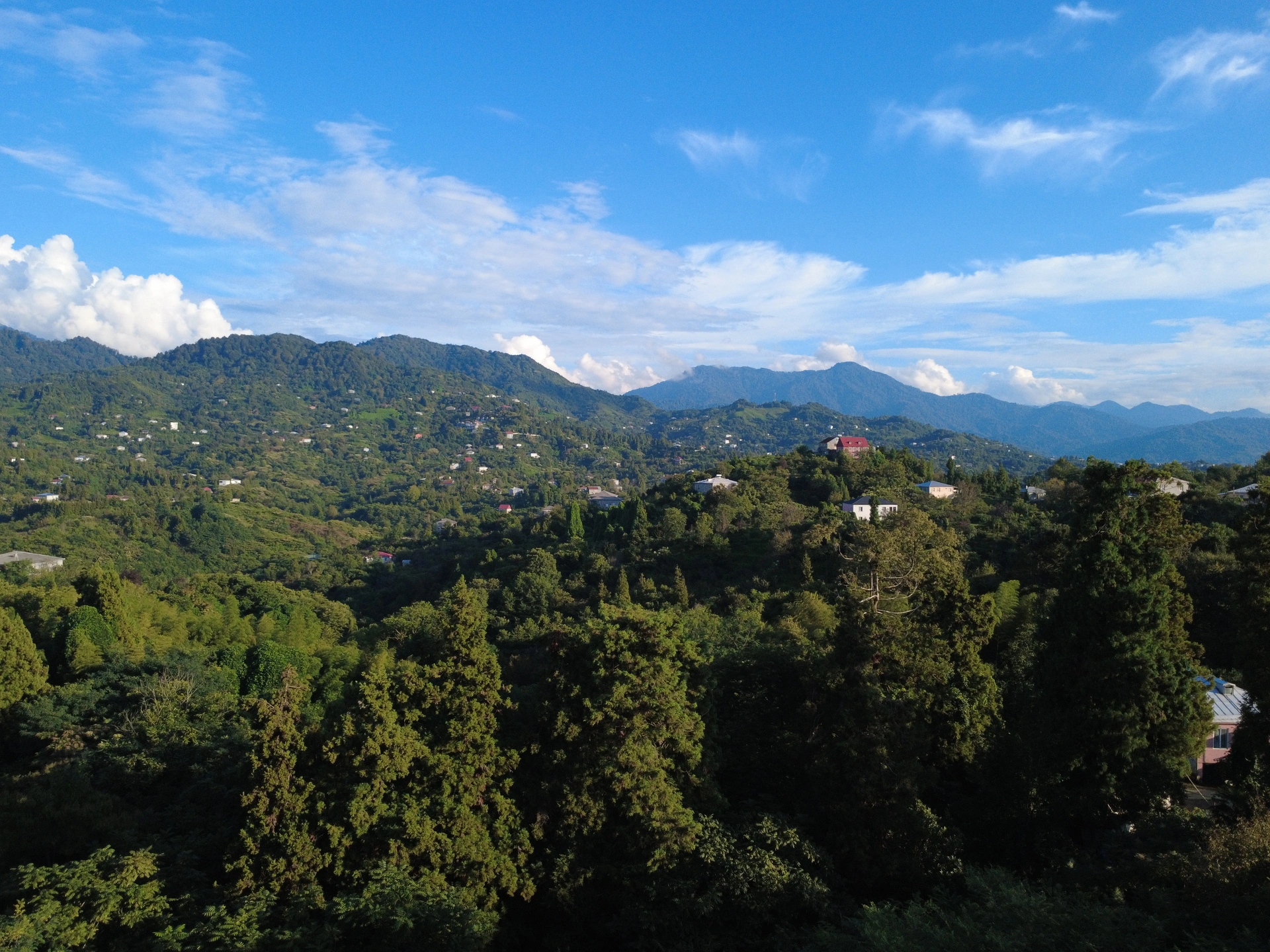 Tsikhisdziri Gardens - życie w harmonii z egzotyczną naturą